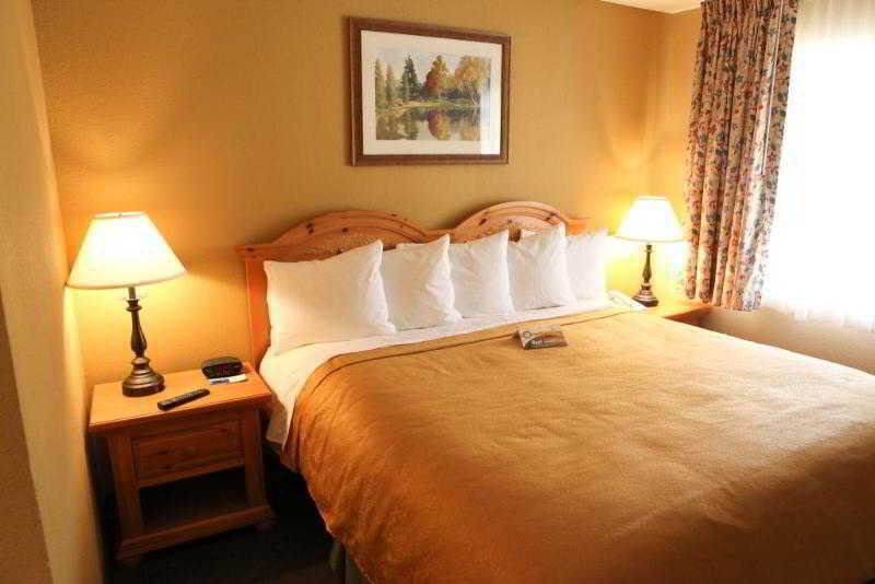 3 Palms Tucson North Foothills Otel Casas Adobes Dış mekan fotoğraf